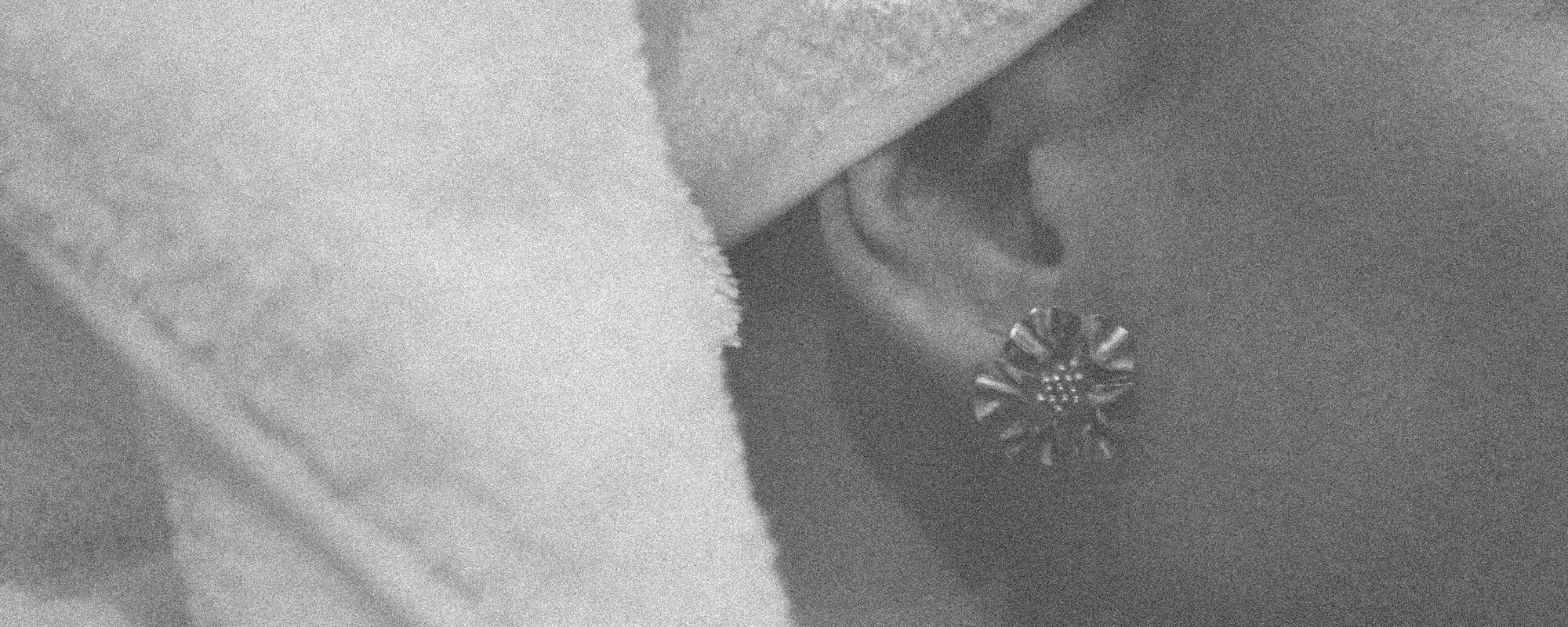 Headerfoto